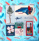 North Carolina 2023 20" X 20" Pillow or Wall Hanging - CD