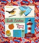 South Carolina 2023 20" X 20" Pillow or Wall Hanging - CD