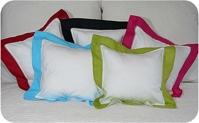 Bright Border Pillow Sham (12") in Aqua